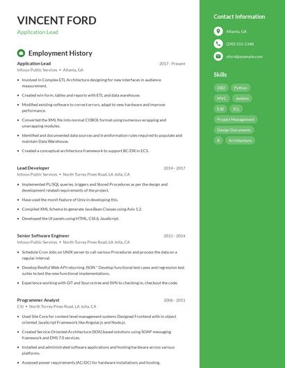 Application Lead Resume