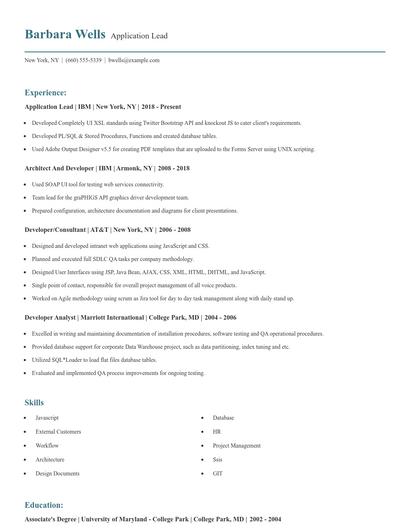 Application Lead Resume