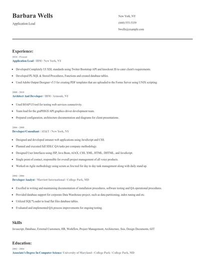 Application Lead Resume