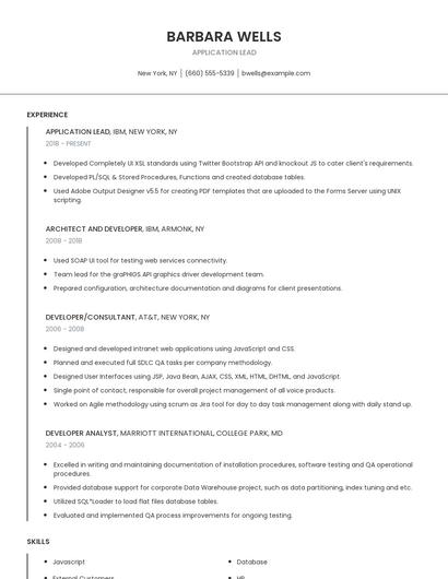 Application Lead Resume