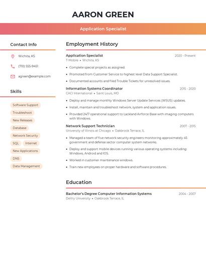 Resume example 3