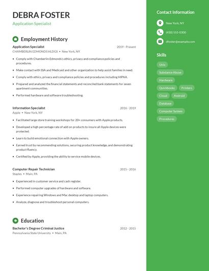 Resume example 4