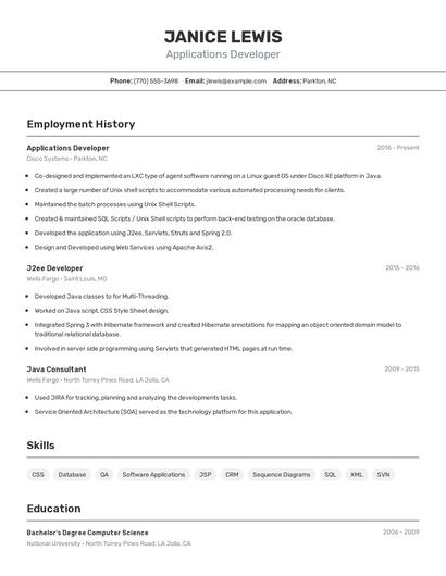 Resume example 2