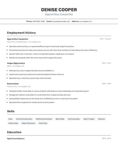 Resume example 2