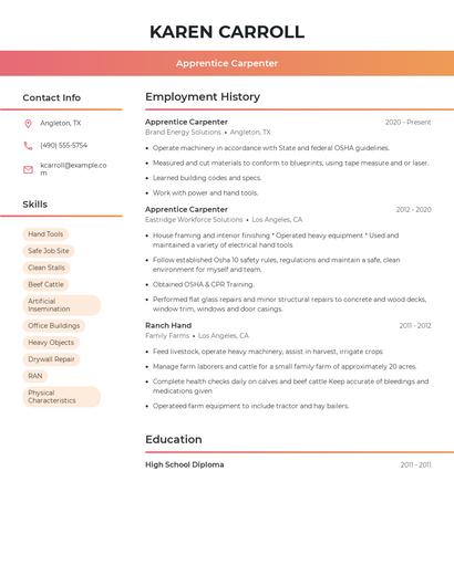 Resume example 3