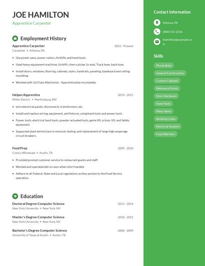 Resume example 5