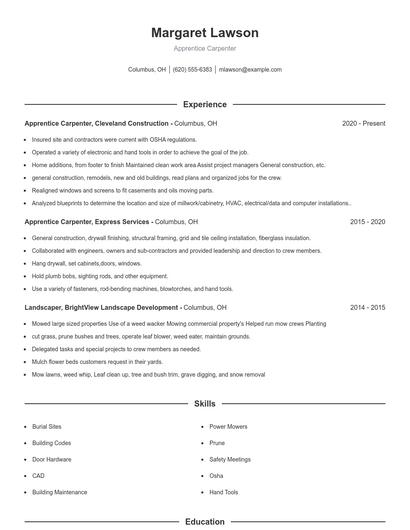 Resume example 1