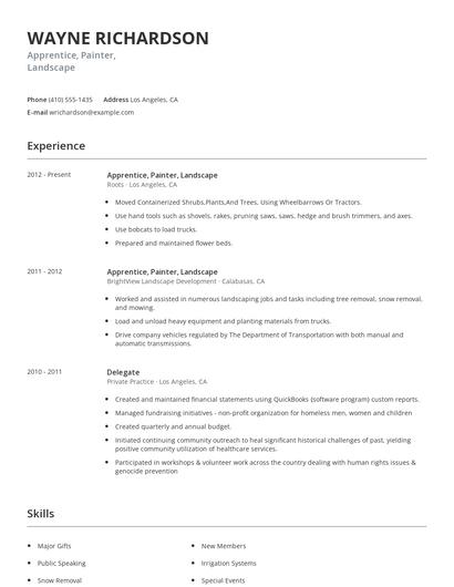 Apprentice, Painter, Landscape Resume