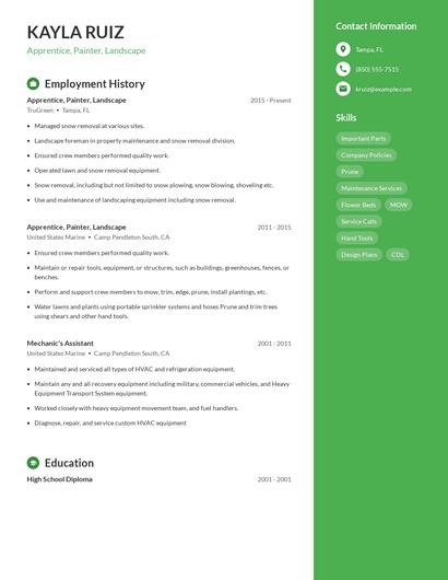 Apprentice, Painter, Landscape Resume