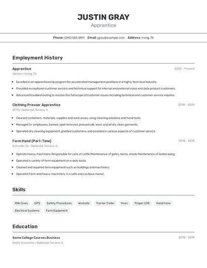 Resume example 2