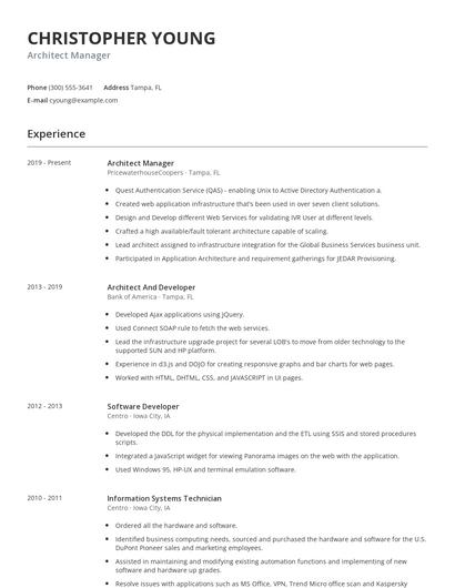 Architect Manager Resume