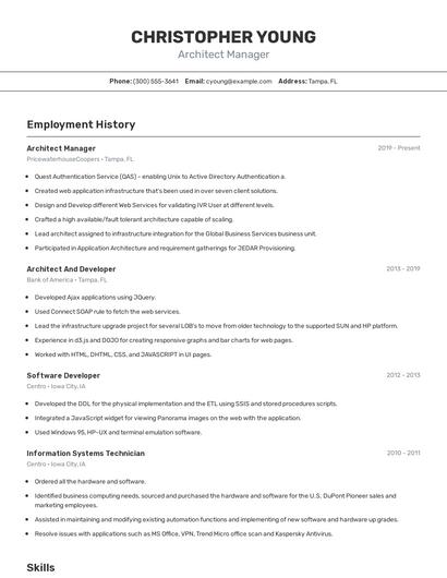 Architect Manager Resume