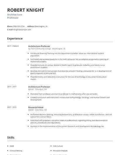 Architecture Professor Resume