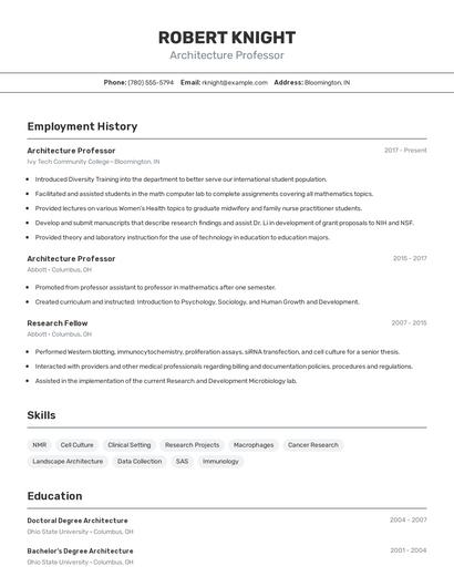 Architecture Professor Resume
