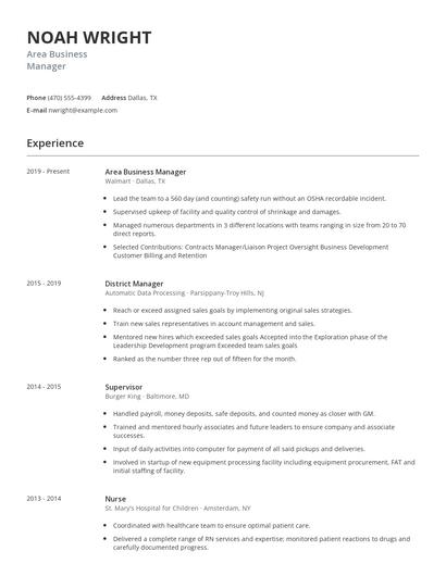 Area Business Manager Resume