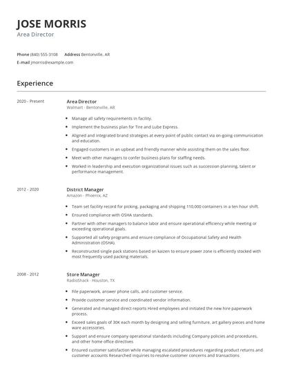 Area Director Resume