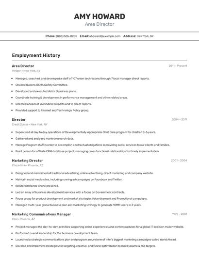 Resume example 2