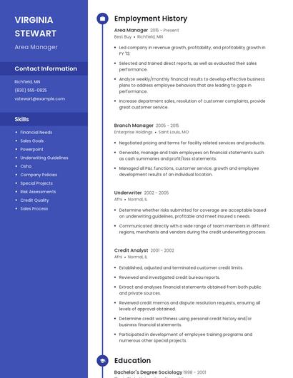 Resume example 4