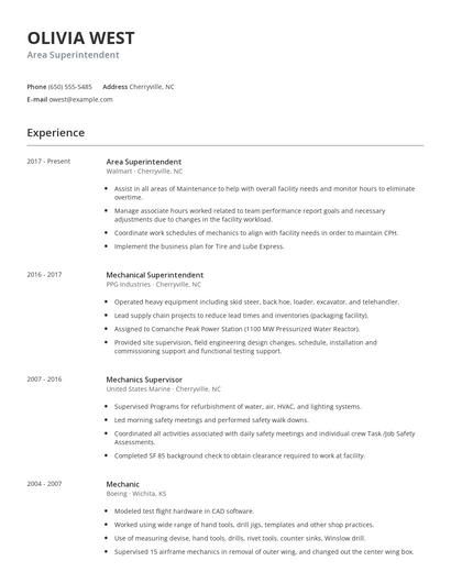 Area Superintendent Resume
