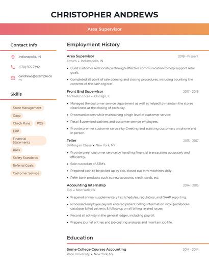 Resume example 3