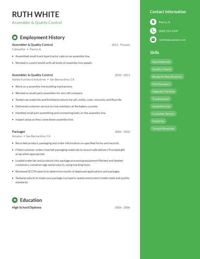Resume example 4
