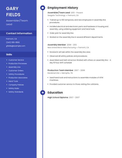 Resume example 5