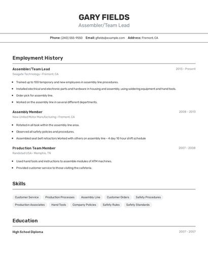 Resume example 2