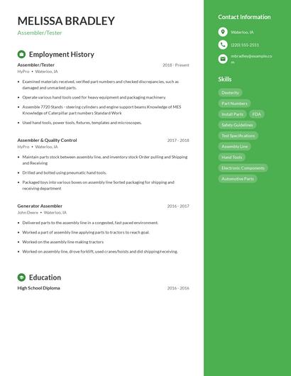 Resume example 5