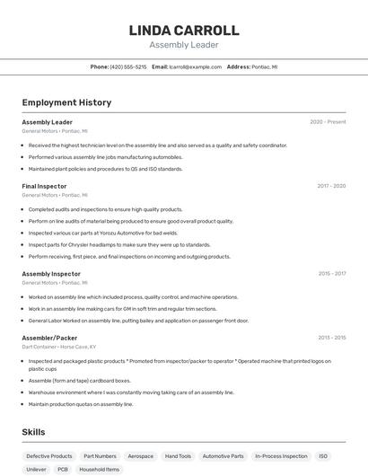 Resume example 2