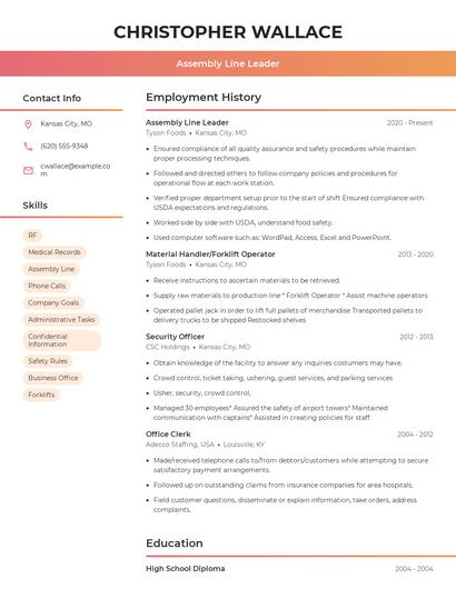 Resume example 3