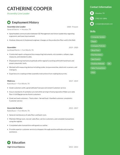 Resume example 5