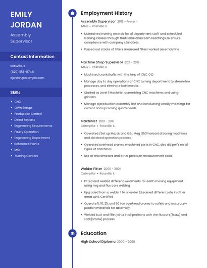 Resume example 5