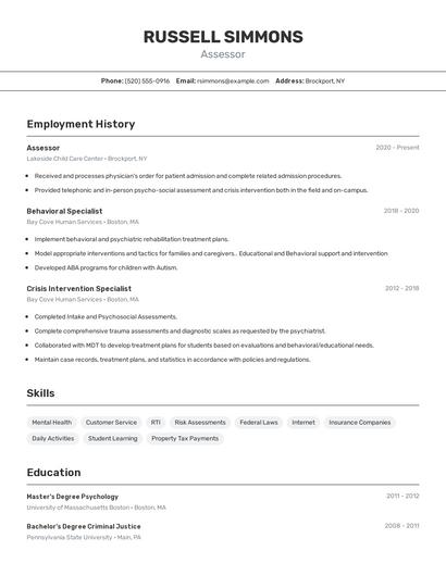 Resume example 2