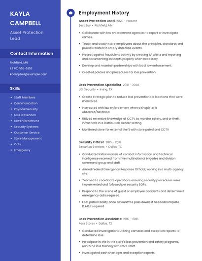 Asset Protection Lead Resume