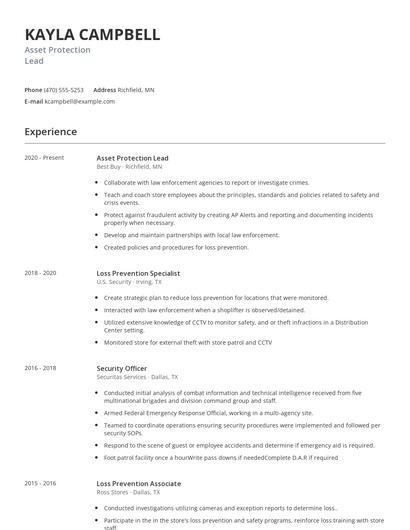 Asset Protection Lead Resume
