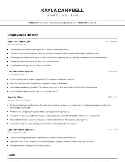 Asset Protection Lead Resume