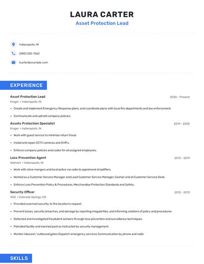 Asset Protection Lead Resume
