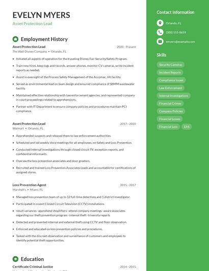 Asset Protection Lead Resume