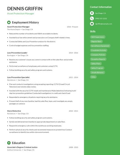 Resume example 4