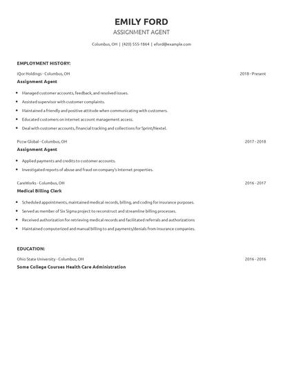 Assignment Agent Resume