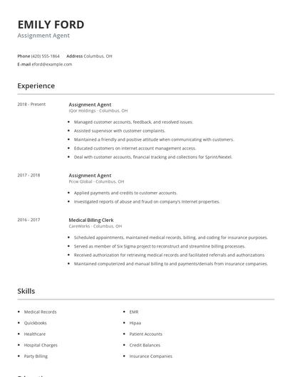Assignment Agent Resume