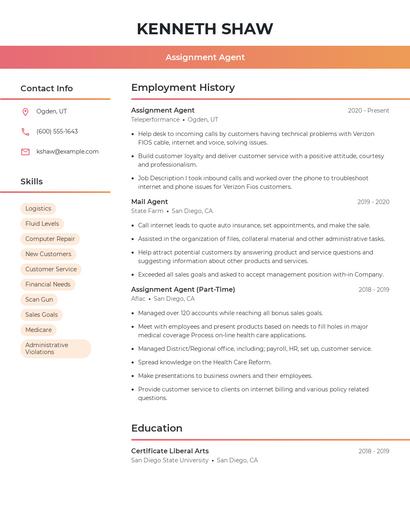 Assignment Agent Resume