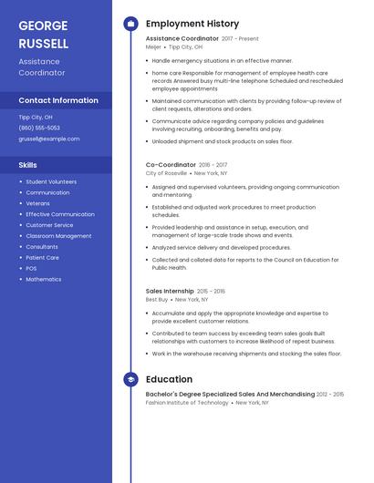 Resume example 5