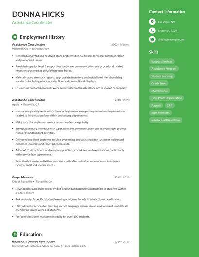 Resume example 4