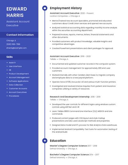 Assistant Account Executive Resume