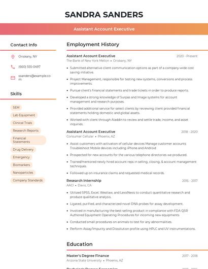 Resume example 3