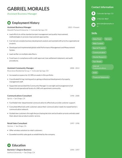 Resume example 5