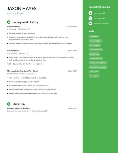 Resume example 4