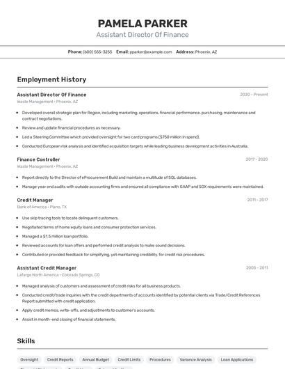 Resume example 2