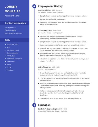 Resume example 4